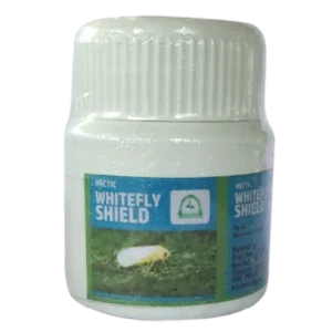 White Fly